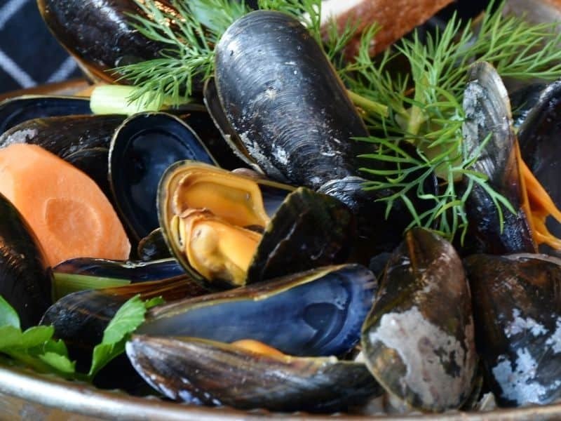 mussels