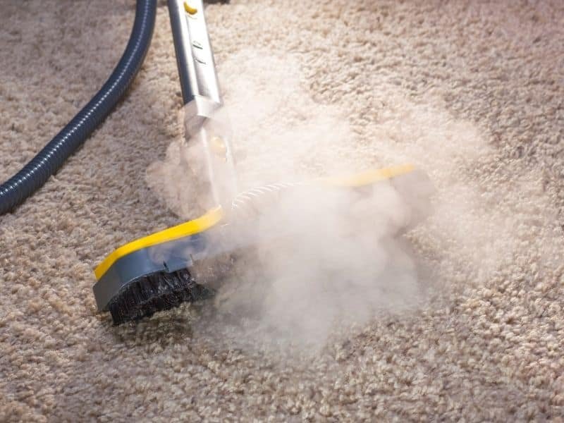 carpet steam cleaning