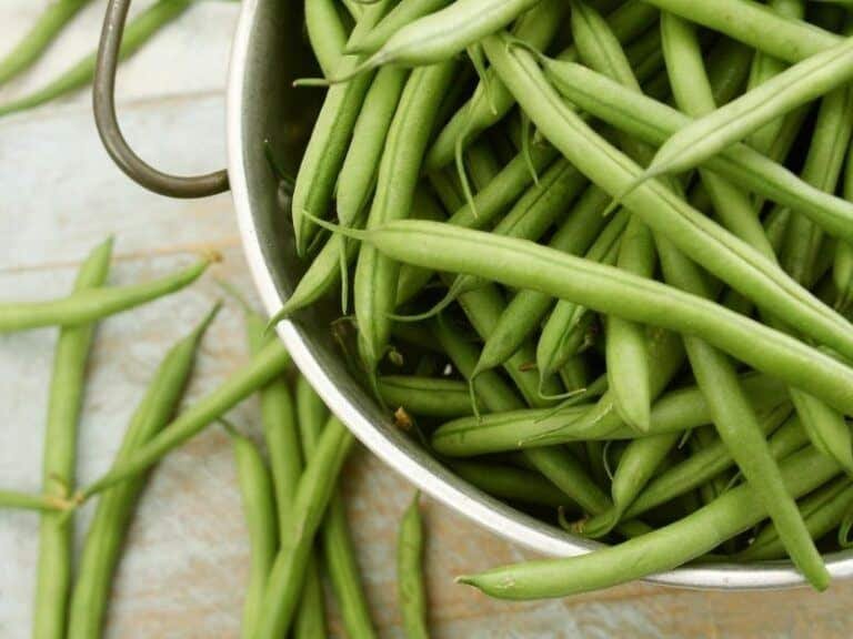 Are Brown Spots On Green Beans Safe To Eat?