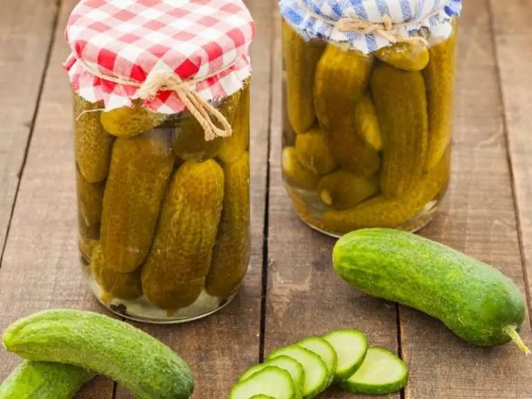 What Do Pickles Taste Like? A Guide to the Fantastic Flavor of Pickles