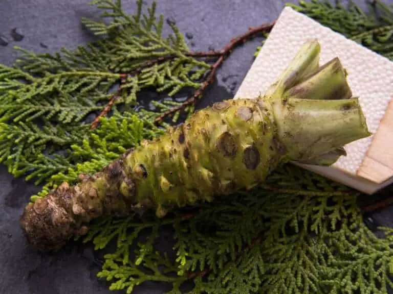 What Is Wasabi Made Of? What You Need To Know