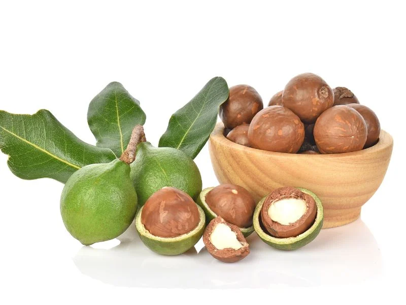 macadamia nuts