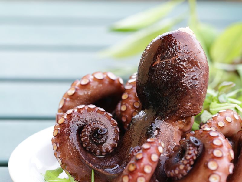 cooked octopus with salad