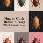 balmain-bugs-ccccc-10931