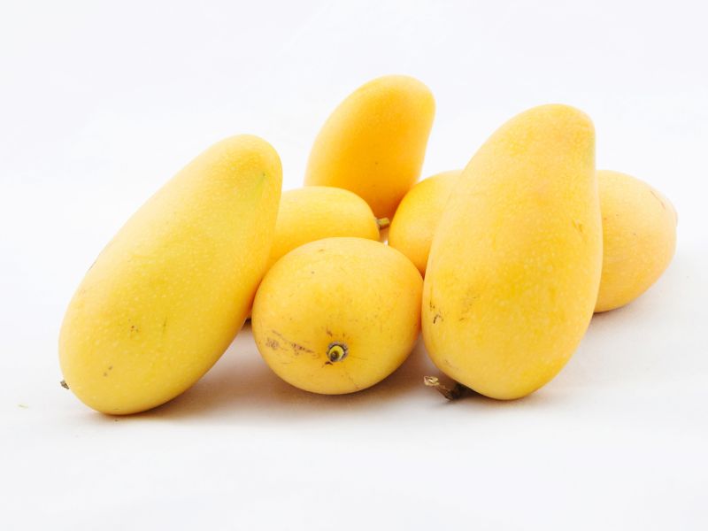 Aussie Mangoes: Facts About The Exotic Fruits