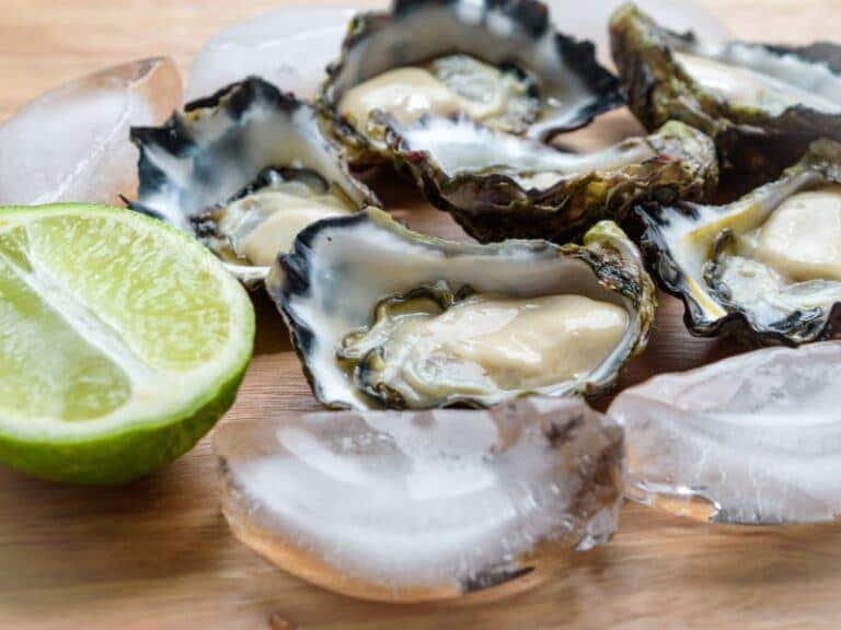 How To Thaw Frozen Oysters In The Shell Quick & Easy Guide