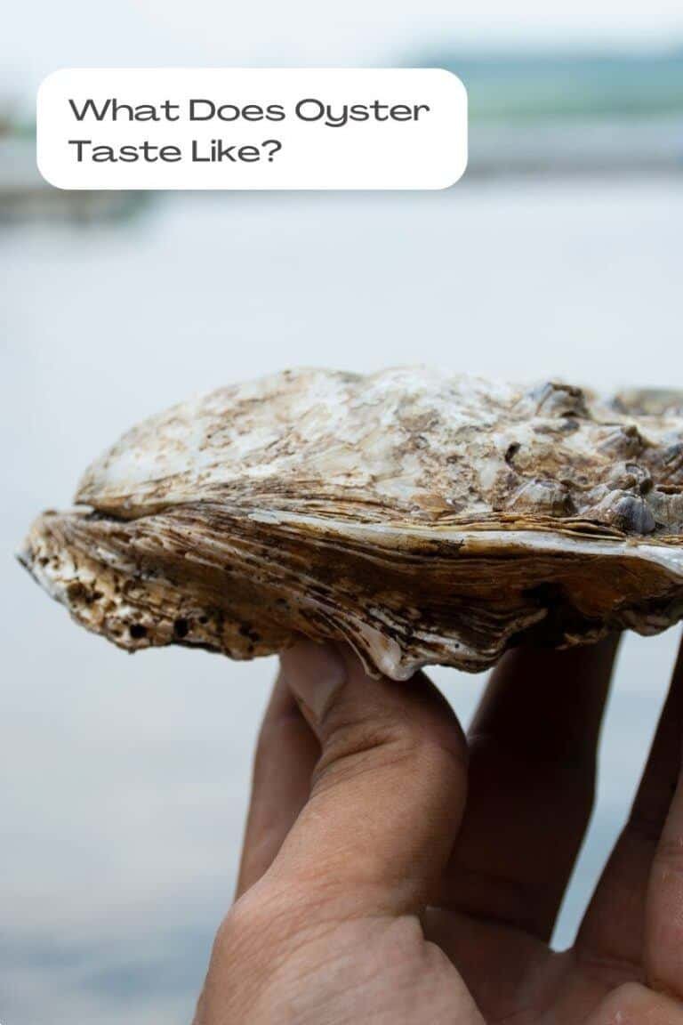 What Does Oyster Taste Like? A Guide for Novices