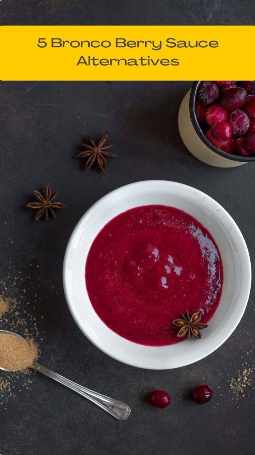 Bronco Berry Sauce Alternatives 15 Amazing Substitutes