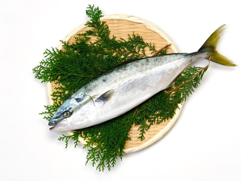 How Long to Cook Yellowtail in the Oven (10 Minutes)