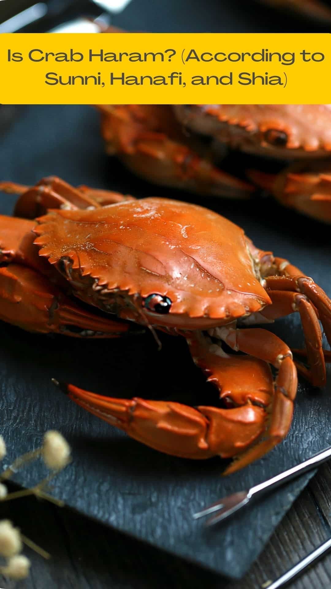 Is Crab Haram In Islam Sea And Freshwater 