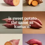 sweet-potato-ccccc-19580