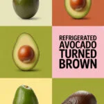 refrigerated-avocado-ccccc-95444