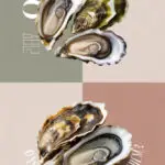 oysters-ccccc-35572