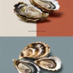 oysters-ccccc-66509