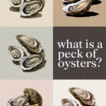 peck-of-oysters-ccccc-22722