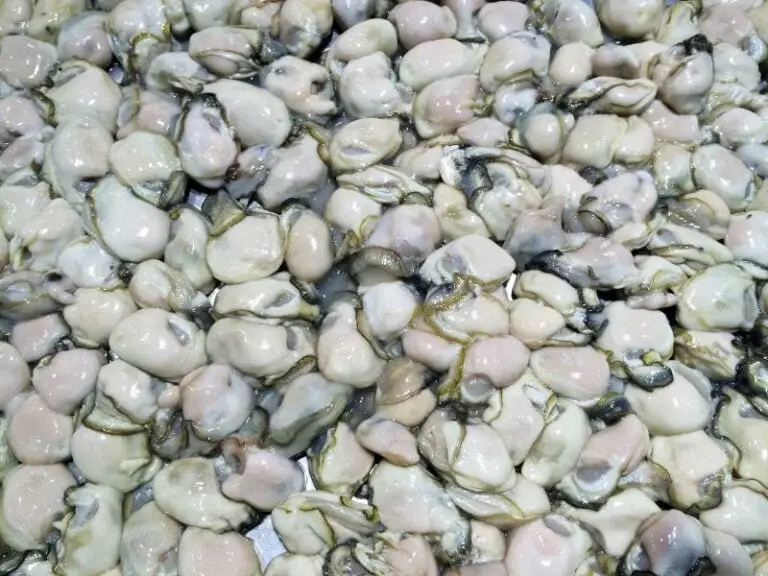 How To Cook Frozen Oysters Without Shell? (Simple Steps and Tips)