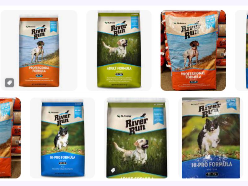 Where To Buy River Run Dog Food: A Guide to Finding the Best Deals