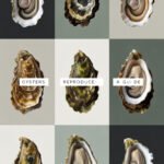 oysters-ccccc-36115