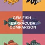 gem-fish-ccccc-71478