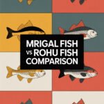 mrigal-fish-ccccc-98188