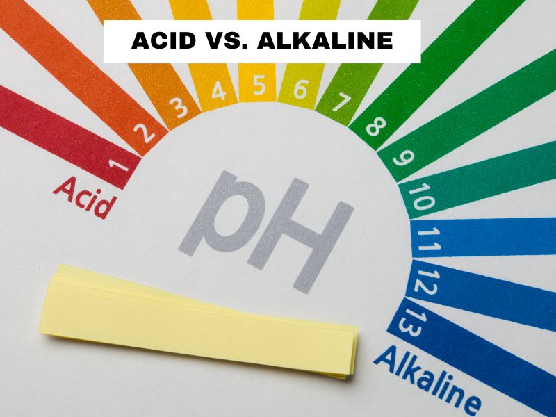 Is Avocado Alkaline or Acidic?