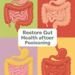 How to Restore Your Gut Health After Battling Food Poisoning gut-health-ccccc-86959