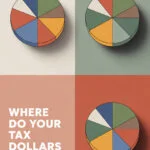 pie-chart-ccccc-61094