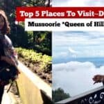 Image showcasing "Top 5 Places to Visit - Mussoorie, Queen of Hills," featuring a scenic view and a traveler enjoying the landscape. The image highlights the beauty of Mussoorie, a popular hill station in India, known for its picturesque views and tourist attractions.