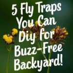 Image promoting DIY fly traps for a buzz-free backyard, featuring the text "5 Fly Traps You Can DIY for Buzz-Free Backyard!" against a natural background with flowers.