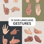 sign-language-gestures-ccccc-27571
