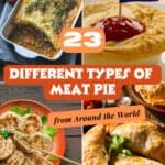 Image showcasing 23 different types of meat pie from around the world, featuring various styles and presentations including savory meat dishes, flaky crusts, and unique toppings.