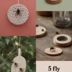 fly-traps-ccccc-80706
