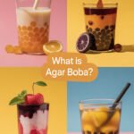 agar-boba-ccccc-15933