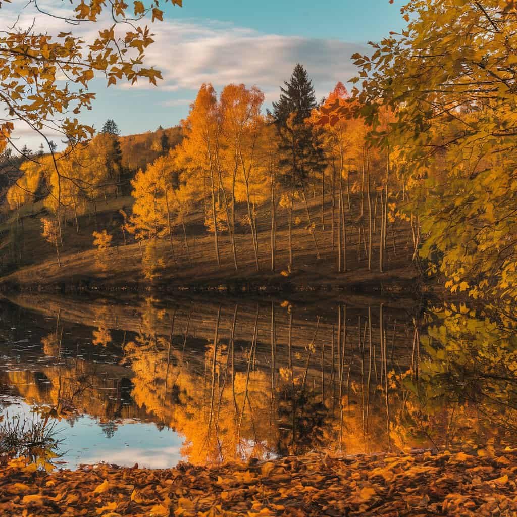 Autumn landscape featuring vibrant orange and yellow foliage reflecting on a calm lake, surrounded by trees and a blue sky with clouds.