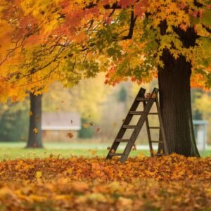 10 Cute Fall Backgrounds You’ll Adore - ostrali.com