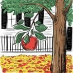 Red apple hanging from a tree branch in front of a white house, surrounded by colorful autumn leaves on the ground.