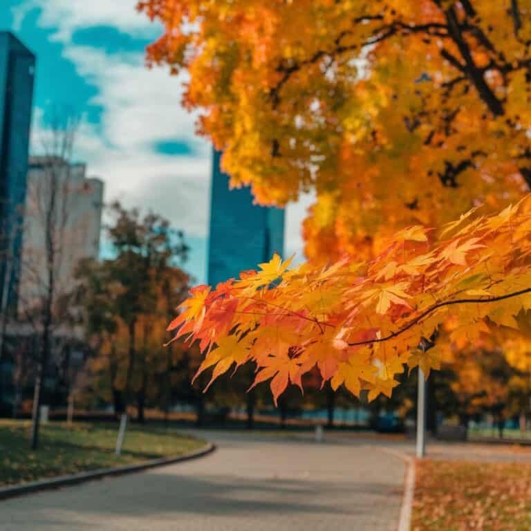 50+ Fall Painting Ideas to Inspire Your Creativity - ostrali.com