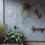 Indoor plants against a blue wall, featuring hanging greenery, a small wooden shelf, and framed artwork, creating a serene and stylish interior space.