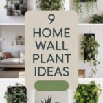 home-wall-plant-ccccc-56405