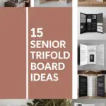 senior-trifold-board-ccccc-66088