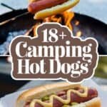 camping-hot-dogs-bbbbb-26358