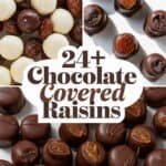 chocolate-covered-raisins-bbbbb-67494