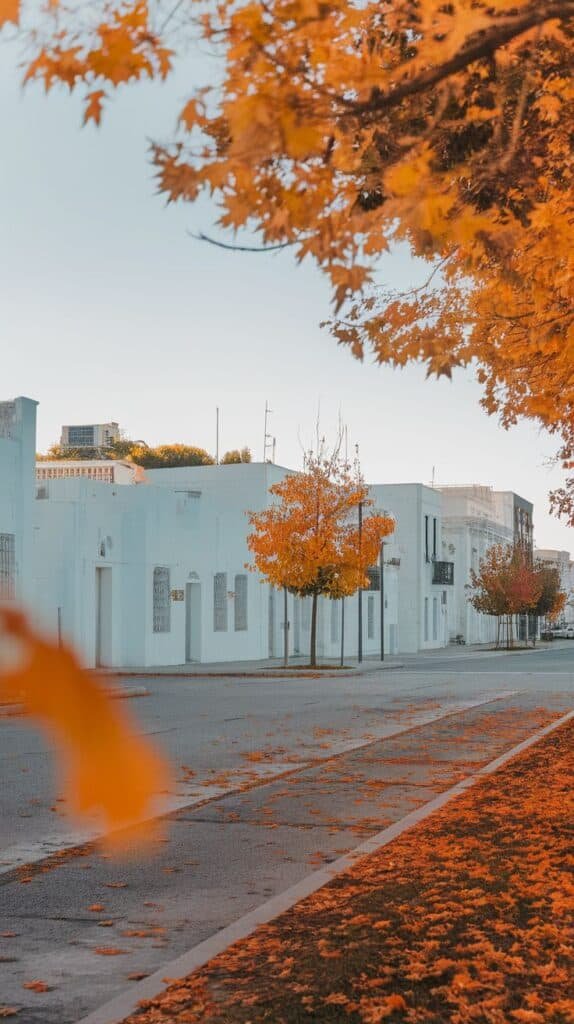 Autumn scene featuring a quiet street lined with white buildings and vibrant orange leaves scattered on the ground, under a clear sky. The image captures the beauty of fall foliage and the serene atmosphere of the neighborhood.