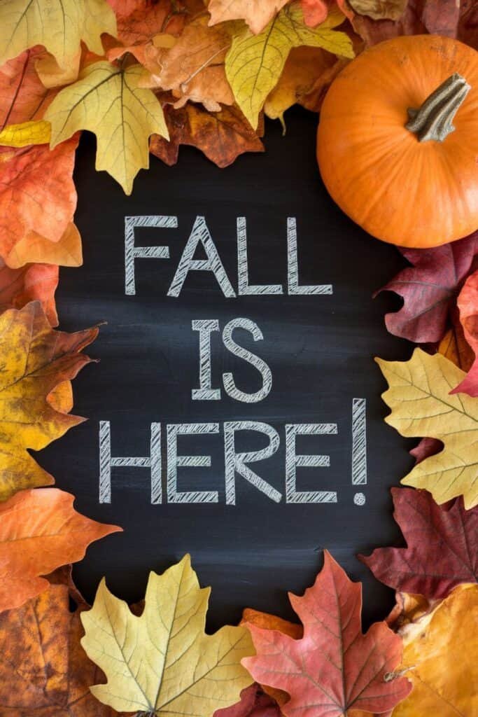 Colorful autumn leaves surround a chalkboard with the phrase "Fall is Here!" prominently displayed, symbolizing the arrival of the fall season. A small orange pumpkin adds a seasonal touch to the composition.