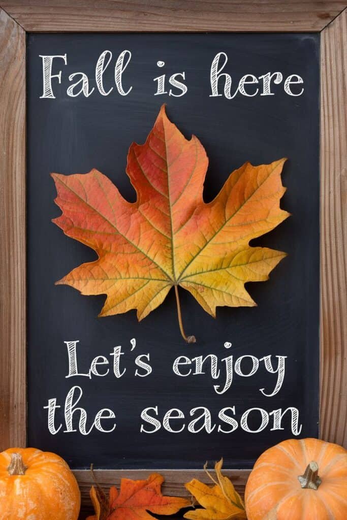 Autumn-themed image featuring a vibrant orange maple leaf on a chalkboard background with the text "Fall is here" and "Let's enjoy the season," complemented by small pumpkins and colorful fall leaves. Perfect for seasonal decoration or fall-related content.