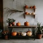 Autumn decor featuring a rustic wooden table adorned with various pumpkins, including orange and white varieties, surrounded by potted plants and a wall-mounted shelf displaying more pumpkins. The background showcases a cozy, seasonal atmosphere.