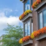 Modern building with large windows adorned with vibrant flower boxes in shades of orange and yellow, set against a clear blue sky.