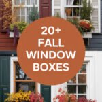 fall-window-boxes-ccccc-18689