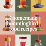 3 Homemade Hummingbird Food Recipes Your Tiny Feathered Friends Will Love hummingbird-food-ccccc-98957
