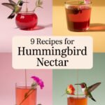 9 Easy-Peasy Recipes for Homemade Hummingbird Nectar: Your Feathered Friends Will Thank You! hummingbird-nectar-ccccc-90336